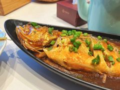 -鸢飞潍坊菜馆(鸢飞大酒店)