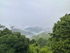 -莫干山风景区