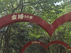 -黛秀湖公园