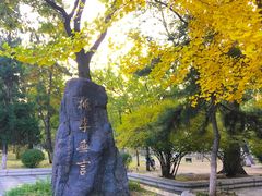 -辽宁大学(崇山校区)