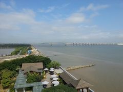 -大湾区中央湿地公园