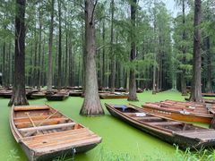 -渌洋湖湿地公园