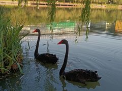 -金桥现代产业园区-停车场