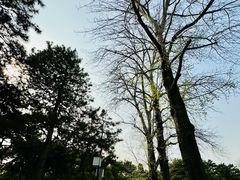 -皇家御河游(紫御湾码头)