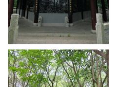 -上海佘山国家森林公园天马山园