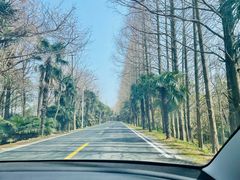 -上海海湾国家森林公园