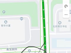 -玫瑰红烤羊排(北新桥三条店)