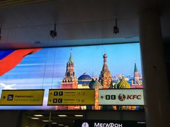 -谢列梅捷沃国际机场