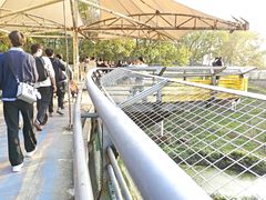 -合肥野生动物园