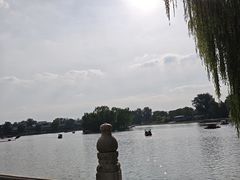 -莲花池公园