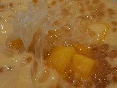 雪山杨枝甘露（香草/蓝莓）-满记甜品(龙湖长楹天街二店)