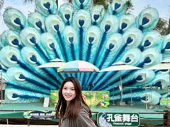 -灵玲国际马戏城