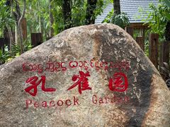 -西双版纳傣族园