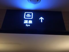-雅安楠水阁温泉酒店