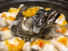 大龙胆鱼-临家闽南菜(宝洲路店)