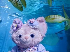 -北戴河圣蓝海洋公园