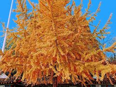 -东坡赤壁风景名胜区