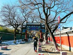 -北京国子监胡同