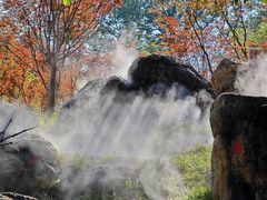 -广州市帽峰山景区