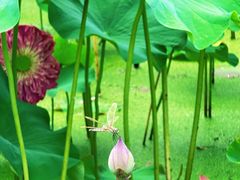 -陶辛水韵