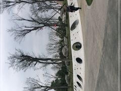 -白鹭湾湿地公园