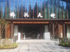 -东平国家森林公园