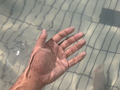 -威尔仕健身·游泳(维景店)