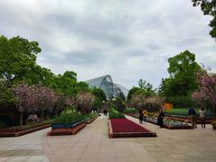 -南山植物园