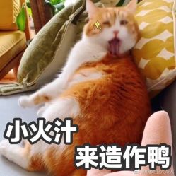 点击看大图 -上海首尔丽格医疗美容医院