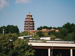 -铁山坪森林公园