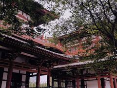 -西安青龙寺遗址景区