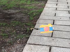 -长春公园(普阳街道)