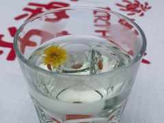 -梧桐