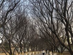 -石家庄市植物园