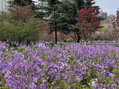-咸阳湖景区-古渡公园