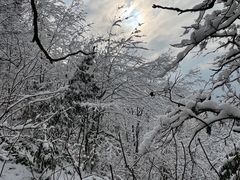 -九峰山