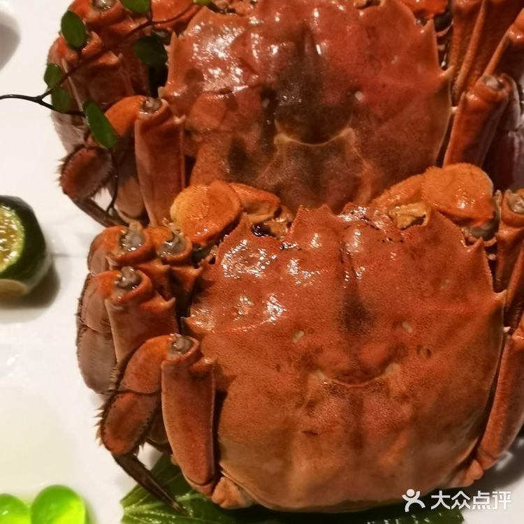停车免费2小时，超出自费