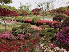 -上海鲜花港