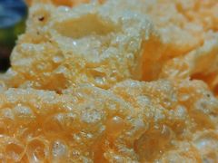 炸支竹-威邵鸡煲(西华路总店)