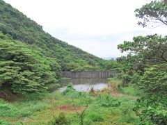 -大湾区中央湿地公园
