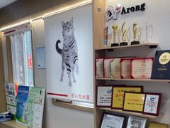 -阿荣24H宠物医院·综合型转诊中心·CT·核磁影像中心