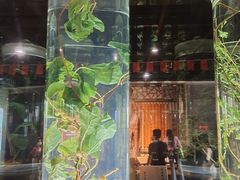 -广东中医药博物馆