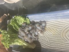 -东海章鱼馆(恒瑞街店)