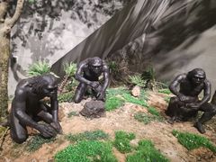 -北京周口店北京人遗址博物馆