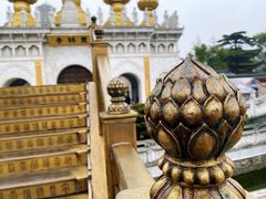 -上海东林寺(金山区)