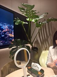 -欧兔博士·O2BOX微高压氧舱