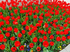 -无锡市市民中心