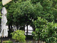 -Beans Solo豆号咖啡(百家湖花园店)