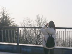 -紫金山山顶公园