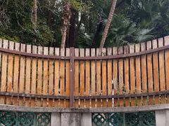 -广东温泉宾馆